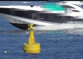 Barche a tutte velocità vicino ai subacquei, i rangers contro gli indisciplinati: «Mantenete le distanze!»