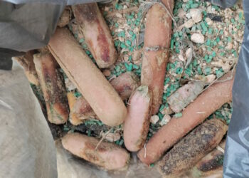 Salsicce “killer” al Majjistral Park, i ranger della HPF esortano i proprietari di cani a fare attenzione