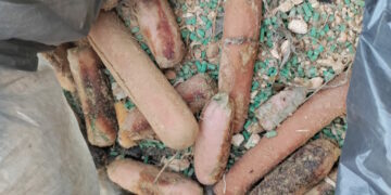 Salsicce “killer” al Majjistral Park, i ranger della HPF esortano i proprietari di cani a fare attenzione