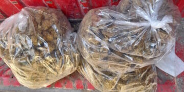 Traffico di droga, ventenne in manette con l’accusa di detenzione e spaccio di stupefacenti