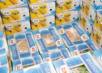 Cocaina al Malta Freeport: terzo maxi sequestro da 610 chili nascosti tra le banane