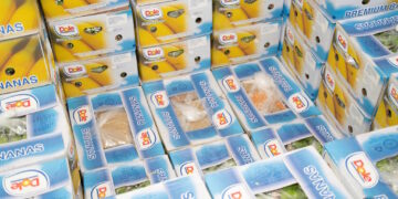 Cocaina al Malta Freeport: terzo maxi sequestro da 610 chili nascosti tra le banane