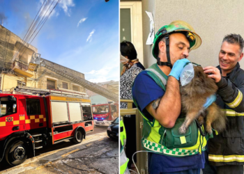 Vigili del fuoco salvano cagnolino dall’incendio di Msida