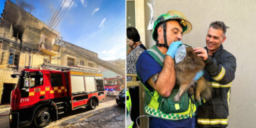 Vigili del fuoco salvano cagnolino dall’incendio di Msida