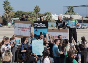 «Non è divertimento, è violenza»: Ong chiedono chiusura immediata del Mediterraneo Marine Park
