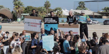 «Non è divertimento, è violenza»: Ong chiedono chiusura immediata del Mediterraneo Marine Park