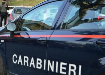 'ndrangheta - ©Carabinieri