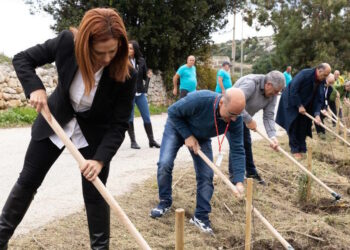 Aree verdi “arricchite” da 3.600 alberi donati da Parks Malta, frutto della campagna di raccolta dei rifiuti