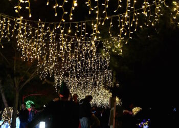 Il Parco Nazionale di Salina apre le porte alla seconda edizione di “Christmas in the Park”