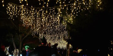 Il Parco Nazionale di Salina apre le porte alla seconda edizione di “Christmas in the Park”