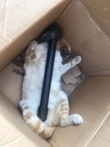 credits: Claire Briffa