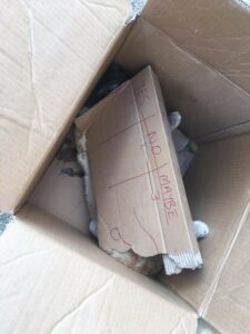 credits: Claire Briffa