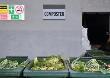 Da rifiuto organico a compost per gli agricoltori, nuova vita per gli scarti