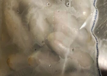 Da Bruxelles a Malta con 100 ovuli di droga nello stomaco, fermato 35enne a Luqa