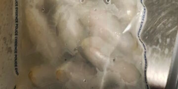 Da Bruxelles a Malta con 100 ovuli di droga nello stomaco, fermato 35enne a Luqa