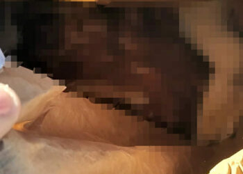 Abbandonava carcasse di animali morti all’interno del Majjistral Park, trasgressore rintracciato e sanzionato