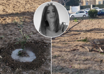 Vandali prendono di mira la quercia piantata in ricordo di Pelin Kaya