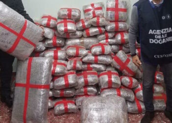 Arrestato perché beccato a trasportare 230 chili di marijuana: autista maltese assolto in Cassazione