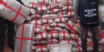 Arrestato perché beccato a trasportare 230 chili di marijuana: autista maltese assolto in Cassazione