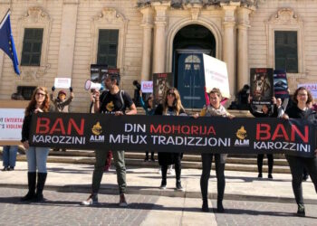 «Non è divertimento ma crudeltà», attivisti chiedono lo stop dei “karozzini” a favore di mezzi elettrici