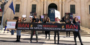 «Non è divertimento ma crudeltà», attivisti chiedono lo stop dei “karozzini” a favore di mezzi elettrici