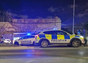 Stormo di cicogne bianche preso di mira dai bracconieri nella notte tra Zabbar e Marsascala