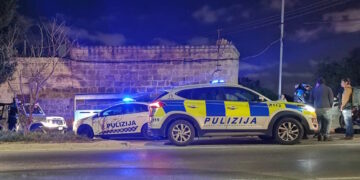 Stormo di cicogne bianche preso di mira dai bracconieri nella notte tra Zabbar e Marsascala