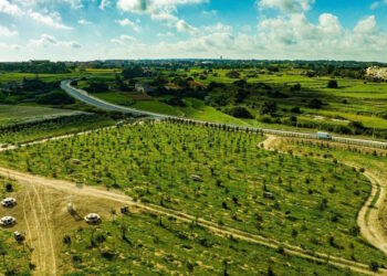 Il Family Park di Bengħajsa apre le porte al pubblico: 17mila metri quadrati di aree verdi destinati alle famiglie