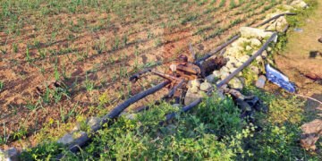 Tragedia in un campo a Mgarr, agricoltore perde la vita