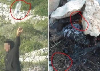 Spazzatura e falò abusivi nel sito Natura 2000 di Ghar Lapsi, denunciate sei persone