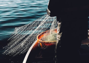 Pesca del tonno, varato nuovo piano d’azione per la ripartizione delle quote annuali