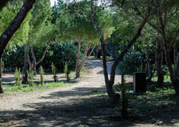 Project Green inaugura il primo “Green Open Campus” del Paese: 7.400 metri quadrati dedicati agli studenti