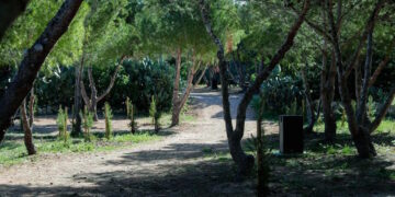 Project Green inaugura il primo “Green Open Campus” del Paese: 7.400 metri quadrati dedicati agli studenti