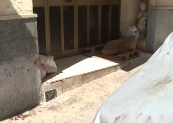 Msida, allevatore di pitbull azzannato dai suoi cani. Nel 2020 sbranarono l’anziana nonna