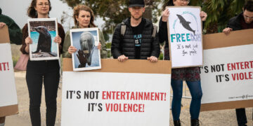 «Empty the Tanks», animalisti tornano a chiedere la revoca della licenza del Mediterraneo Marine Park