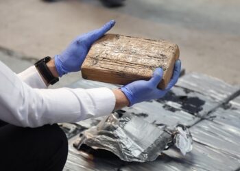 Cocaina nascosta tra le banane, 270 chili sequestrati al Malta Freeport; erano diretti in Slovenia