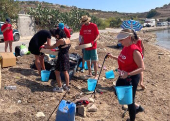 Quattromila nuovi alberi saranno piantati sull’isola grazie all’iniziativa “Islands Cleanup”