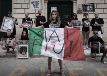 Peste suina: anche a Malta si protesta contro i dieci maiali uccisi nel blitz al rifugio “Cuori Liberi”