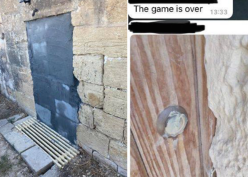 Tornano a casa e trovano la porta “cementata” con gli animali chiusi al suo interno: denunciato il proprietario