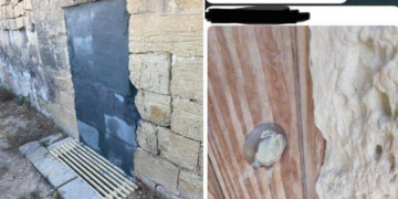 Tornano a casa e trovano la porta “cementata” con gli animali chiusi al suo interno: denunciato il proprietario
