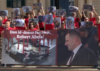 «Questo sangue è sulle tue mani, Abela!»: contro la caccia illegale a Valletta va in scena la “morte”