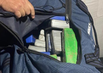 Sequestro di droga al Freeport: cocaina viaggiava nascosta nei sacchi di arachidi diretti a Valencia