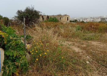 valle di Wied Ghomor