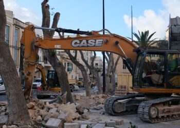 Dietrofront del sindaco di Mosta: gli alberi di Ficus resteranno nella piazza della città