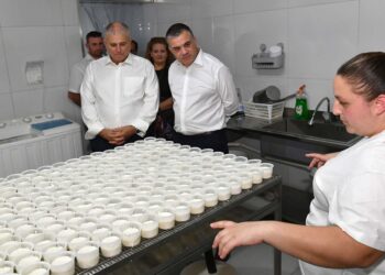Governo tende una mano ai giovani agricoltori: 5,1 milioni di euro di fondi europei per rinnovare le aziende
