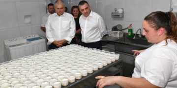 Governo tende una mano ai giovani agricoltori: 5,1 milioni di euro di fondi europei per rinnovare le aziende