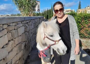 Pony in fuga sulla tangenziale di Mriehel: automobilisti bloccano il traffico per salvarlo