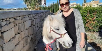 Pony in fuga sulla tangenziale di Mriehel: automobilisti bloccano il traffico per salvarlo