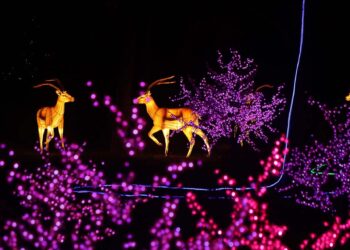 La magia del Natale si “accende” al Verdala Palace con “The Illuminated Trail Malta”