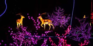 La magia del Natale si “accende” al Verdala Palace con “The Illuminated Trail Malta”